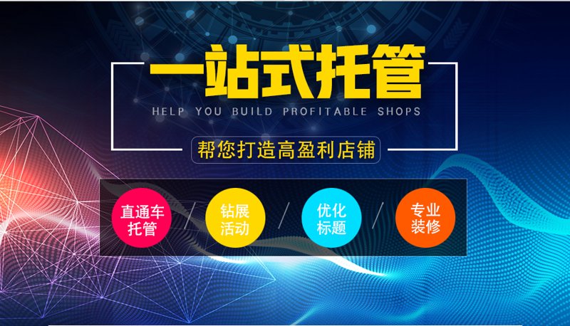 站群程序出售市场动态解读
